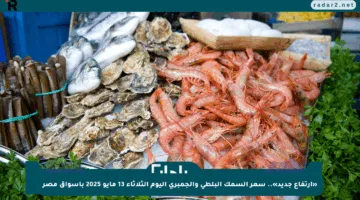 «ارتفاع جديد».. سعر السمك البلطي والجمبري اليوم الثلاثاء 13 مايو 2025 بأسواق مصر